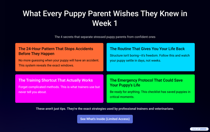 Your Roadmap to a Healthy, Happy Puppy & Stress-Free First Days